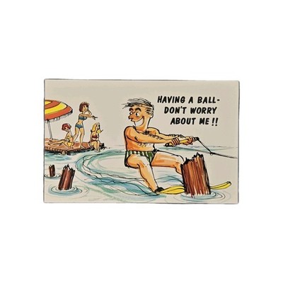Comic Post Card Having A Ball - Don't Worry About Me!! Blank