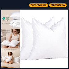 Euro Pillow Inserts 26x26 Pack of 2 - Down Feather Stuffers for Bed  Couch