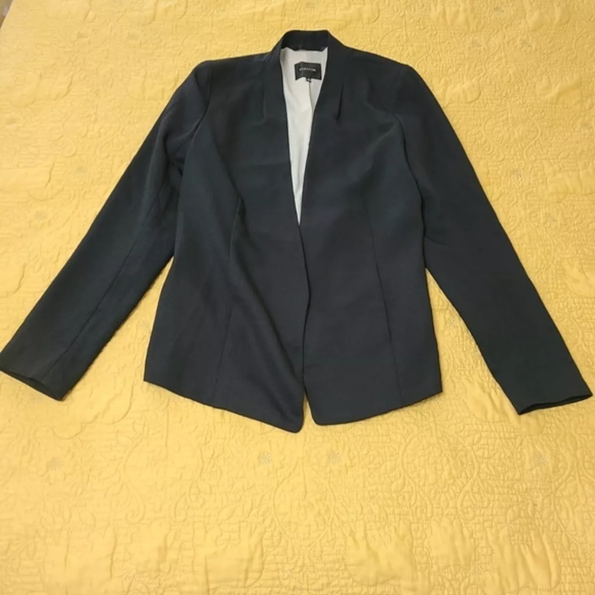 Babaton Aritzia Blazer 8 Keith Jacket Black Structured Pleated