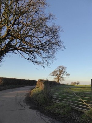 Photo 6x4 The road to Cruwys Morchard The gate is in the acute angle betw c2017