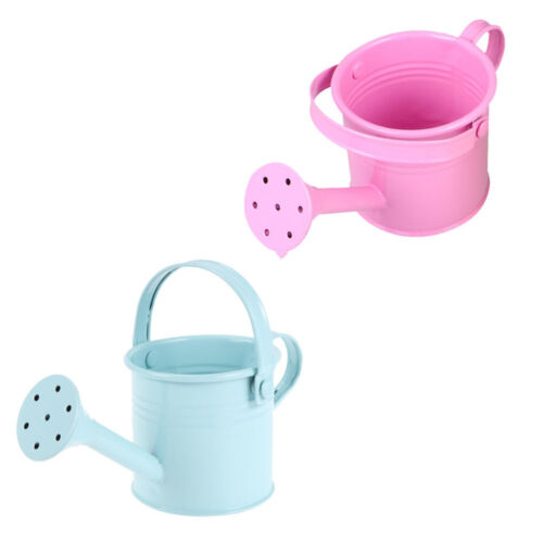 Spray Watering Can Water Kettle Water Sprinkle Miniature Flower Pots Water Tiny