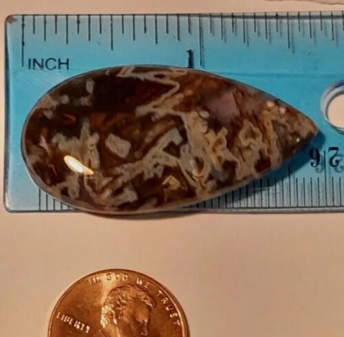 Türkischer Stab Achat PS Natur Cabochon, Birne Lose Schmuck Edelsteine 36,29 Kt - Bild 7 von 12