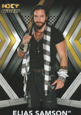 Elias Samson 2017 WWE NXT Called Up Trading Card #11