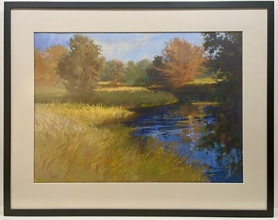  Dragonfly Territory  Original Pastel Art By Marian Hirsch. Retail $1200 In 2007