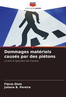 Dommages MatéRiels CauséS Par Des PiéTons Le Droit à RéParation Est Menacé Buch