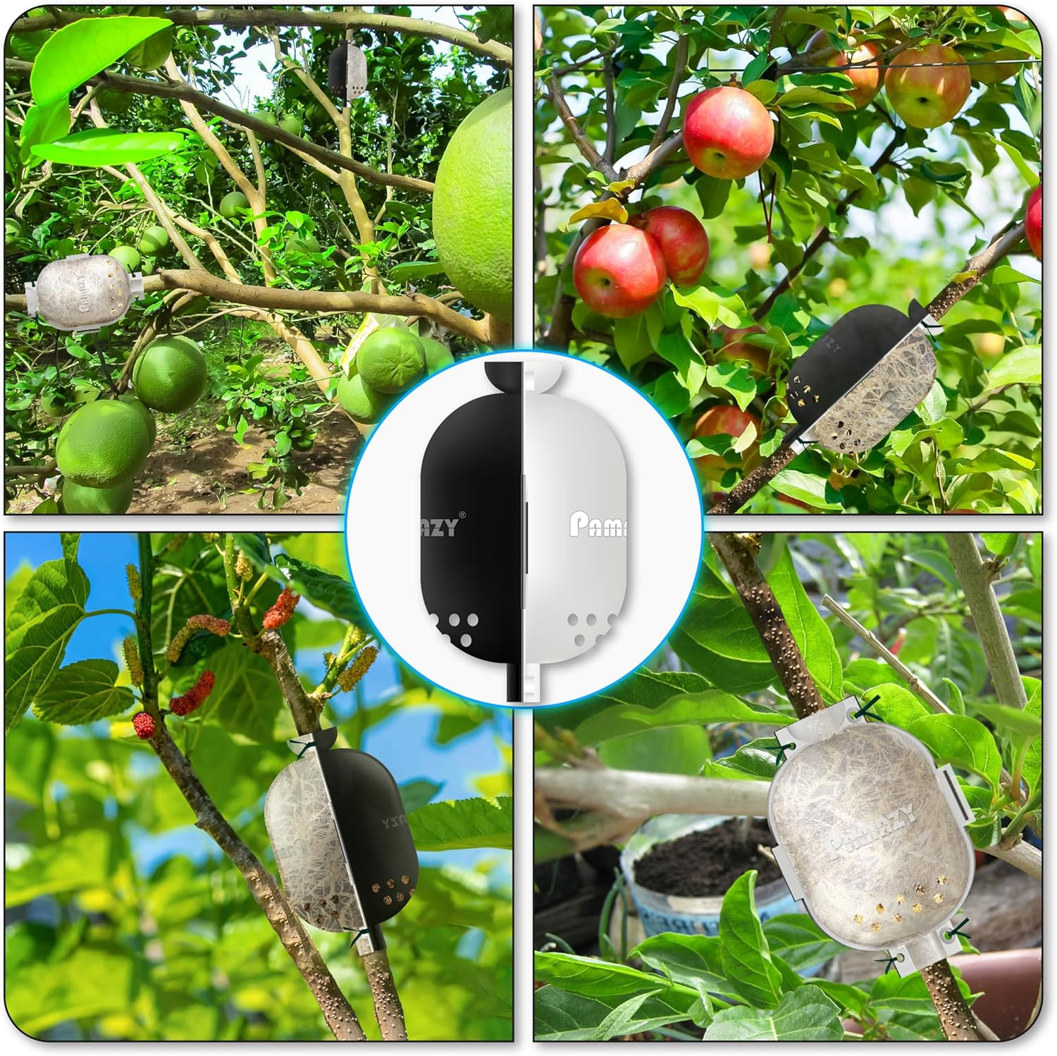 [Upgraded] 9Pcs Tree Root Growing Box with Drain Holes, Half ...