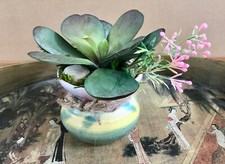 Decorative Planter In A Multi-Colored Ceramic Planter With Green Succulents