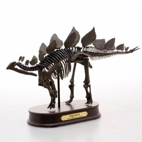 Favorite Stegosaurus Dinosaur skeleton Model Resin Figure T.Oda NEW from  Japan