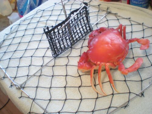 SPORTYs MEGA SUPREME LARGEST CRAB TRAP Size 28"x21" w/rope 60 feet *FREE SHIP - Picture 3 of 6