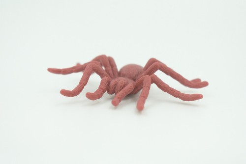 Spinnenspielzeug Gummispinne, braun, realistisches handbemaltes Modell, Geschenk, 2" US17 B44 - Bild 4 von 9