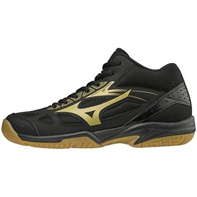 mizuno cyclone speed 2