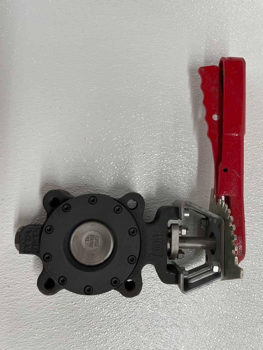 BRAY High Performance Butterfly Valve 2-1/2
