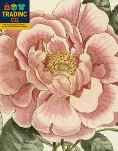 John Derian Book | eBay