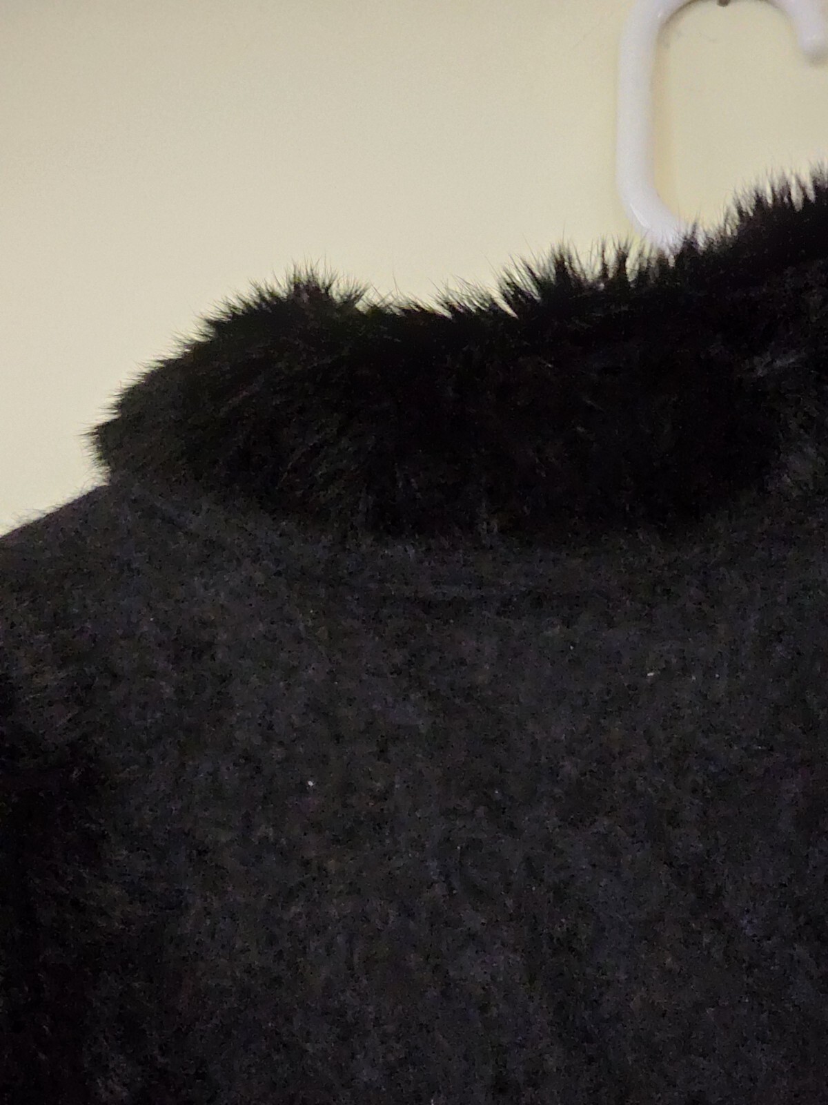 Picture 5 of 15