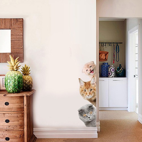 Hunde Katzen 3D Wandaufkleber Lustige Tür Fenster Kleiderschrank Kühlschran F*k* - Picture 3 of 12