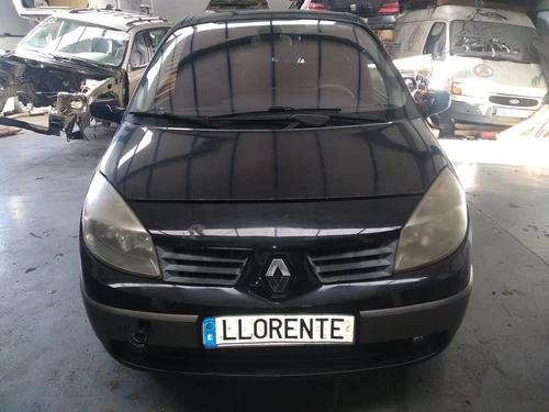Guarnecido Puerta Delantera Derecha para RENAULT SCENIC II (JM) 2003 423214 - Imagen 2 de 21