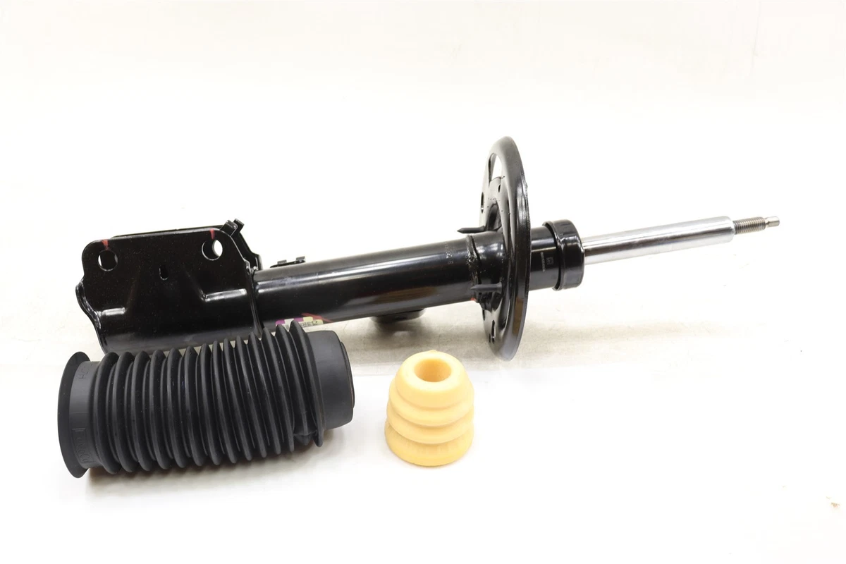 Amortiguador De Dirección Motorcraft Ash114 | Envío Gratis