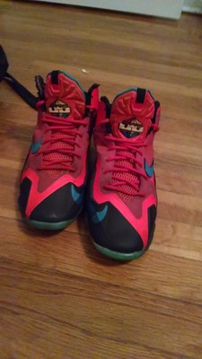 lebron 11 elite kids