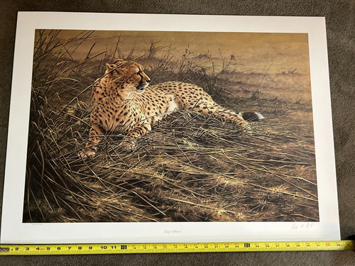 Alan Hunt, Cheetah Print, LAZY AFTERNOON Image 33"x24" 722/1500 - Picture 5 of 5
