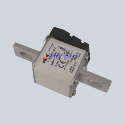 1 Pc. New 170M3662 Fast Acting Fuse 100A 690V 700V 1*FKE/78