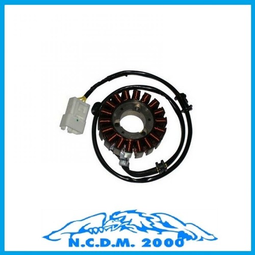 Stator Aimant Mitsuba 18P Honda Fes S Wing 125 2007-2008 2009 2010 2011 2012