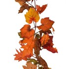 Bild 8 von 8