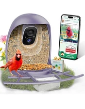 HIXX® Smart Bird Feeder with Camera, Birdwatching Camera AI Identify Bird Solar