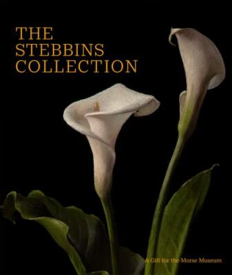 The Stebbins Collection : A Gift for the Morse Museum by Regina Palm NEW AZ