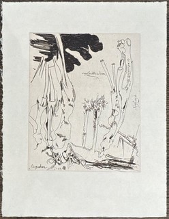 Horst Janssen feigned knowledge etching from the estate 1983/1996