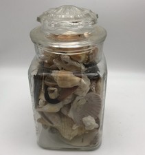 Mixed Seashell Lot With Glass Jar Sand Dollar Starfish Beach Decor 9.5in Shells