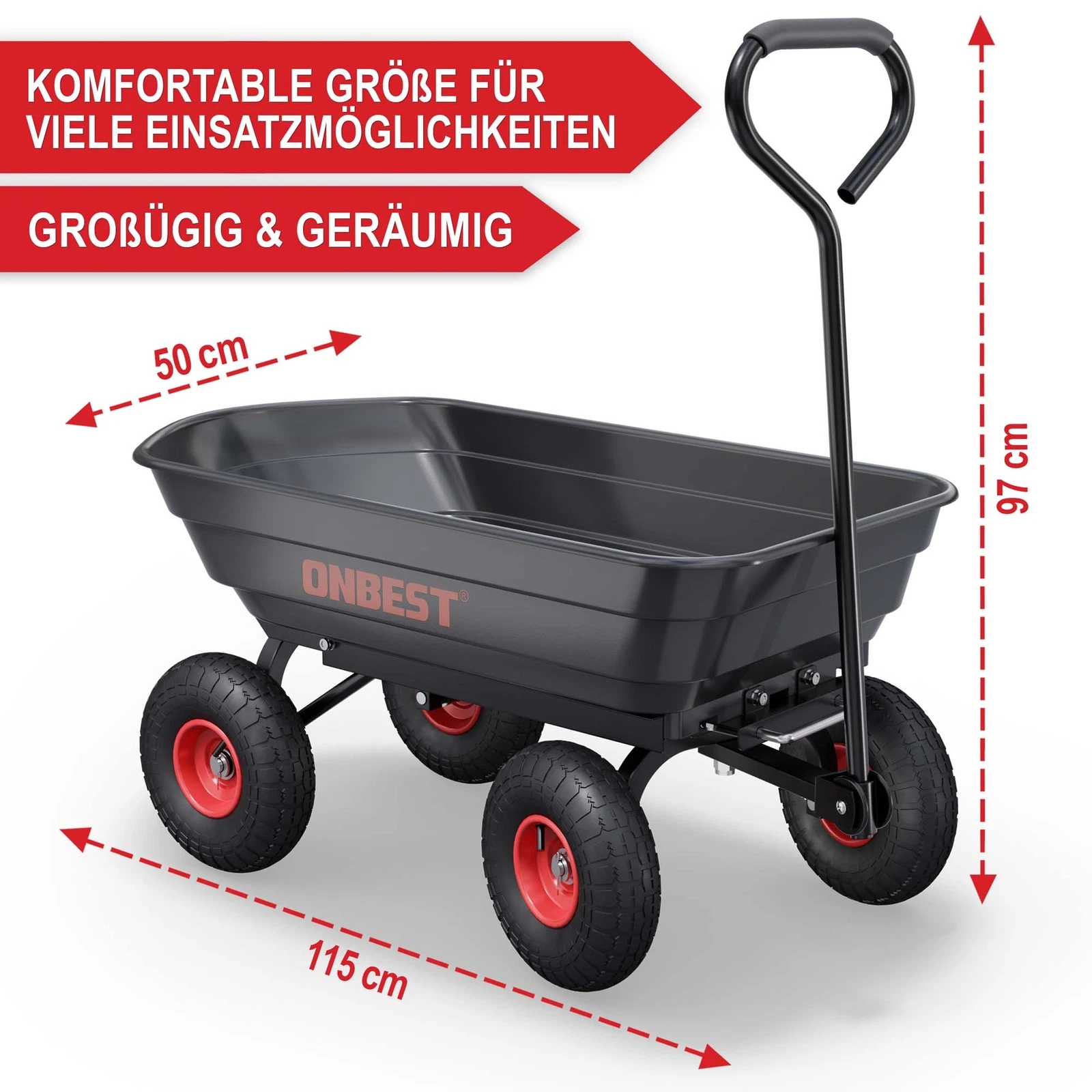 Bild 3 von 12