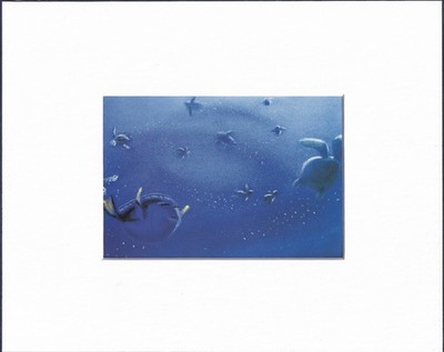 8X10 Matted Print Film Art Picture PIXAR: Finding Nemo, Concept, Ralph Eggleston