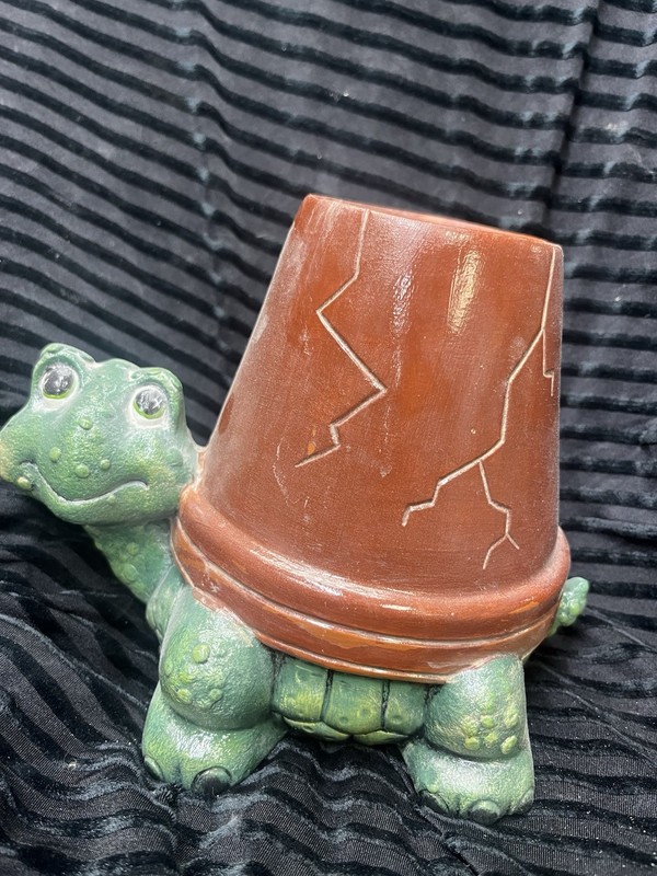 Turtle planter