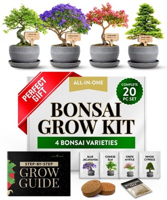 HOME GROWN Bonsai Tree Kit   Grow 4 Bonsai Types Indoors with Complete Starte...