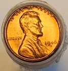 1946D Lincoln cent (50) in Tube - Brilliant and Uncirculated