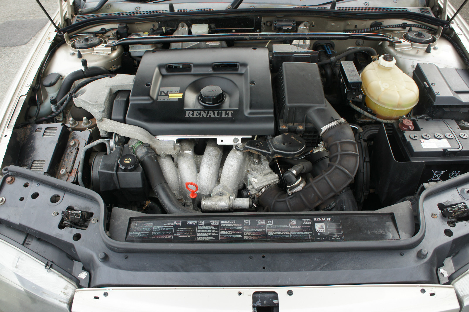 Picture 12 of 12