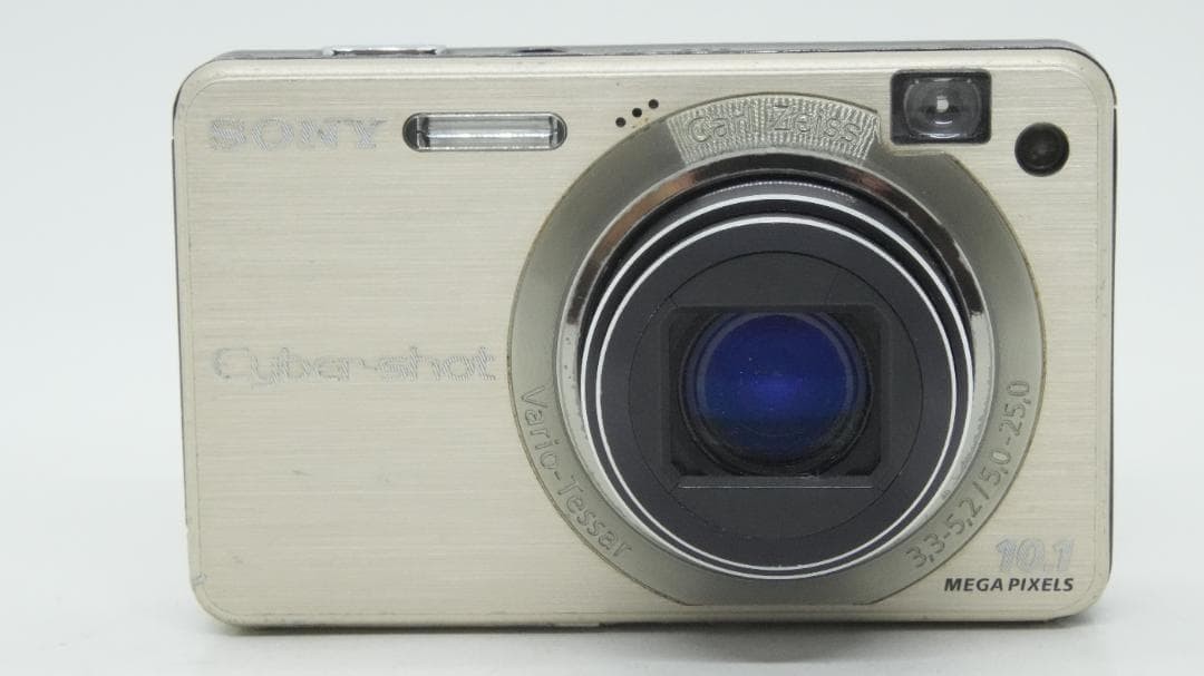 Sony Cyber-shot DSC-W170 10.1MP Digital Camera - Silver (DSC-W170