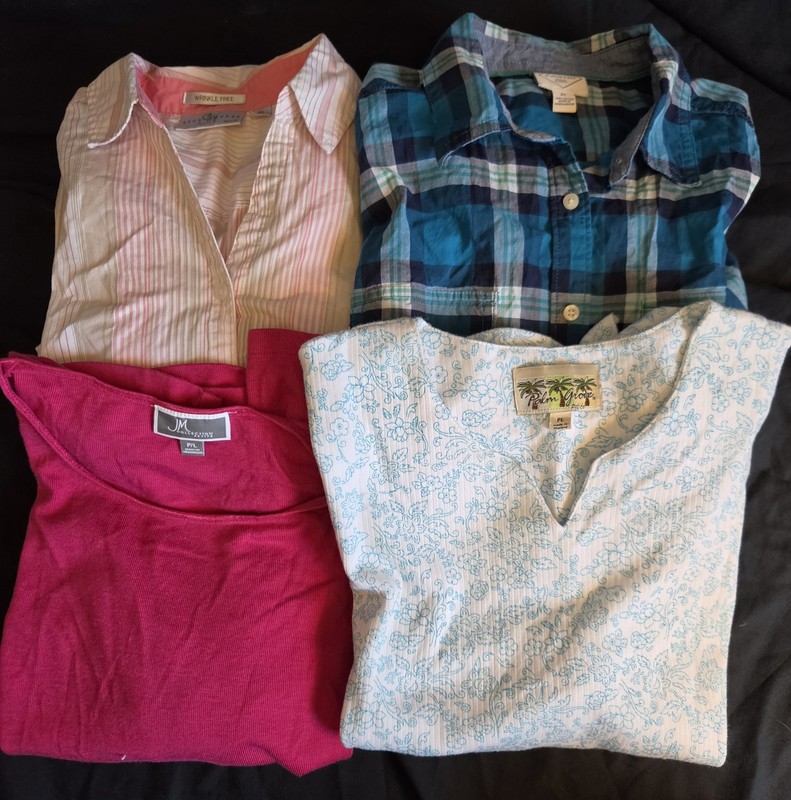Lot of 4 Women's Blouses and Pull Over T-Shirt Size Petite L - EXCLNT!