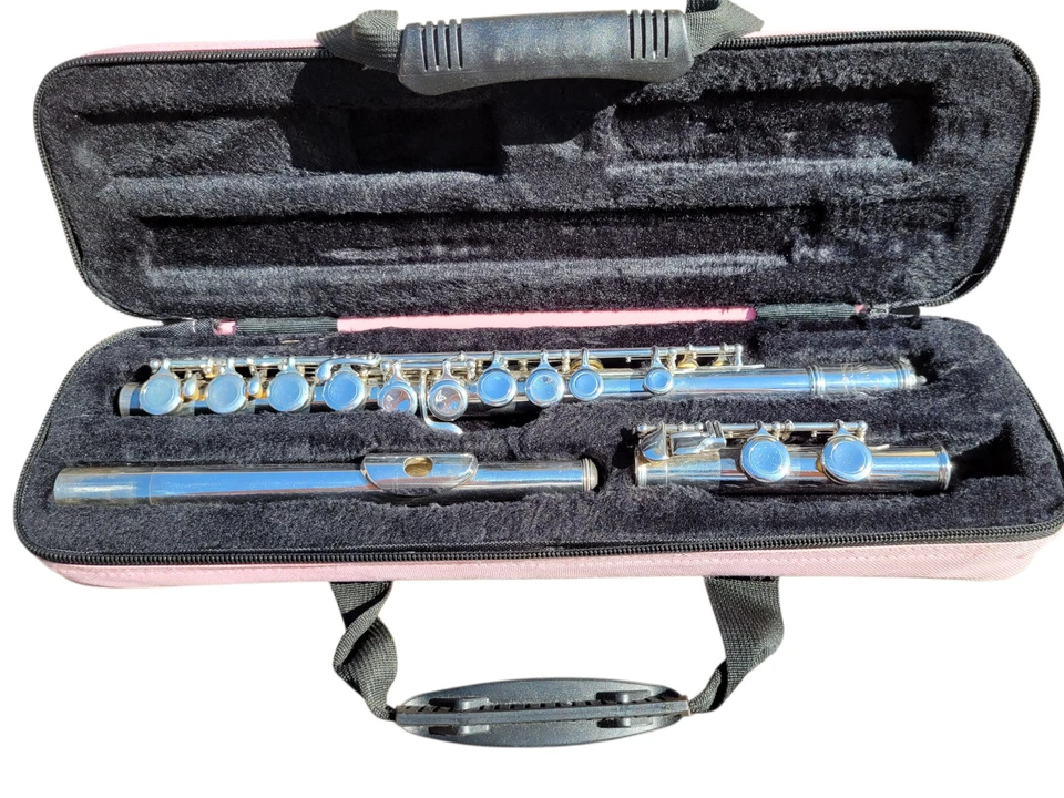 Flauta Jupiter Plateada JFL 507 II Flauta Estudiantil con Estuche Acolchado Rosa Gator Foto 2 de 4