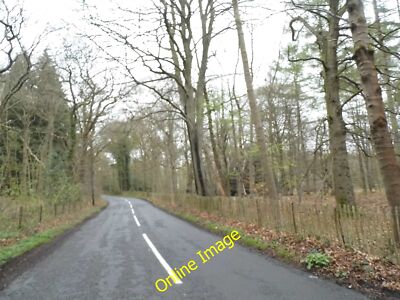 Foto 12x8 Elstead Road before Seale c2014