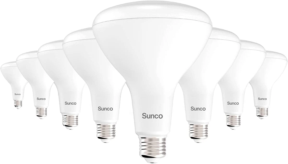 Indoor led deals flood light bulbs
