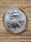 2020 American Silver Eagle Brilliant Uncirculated