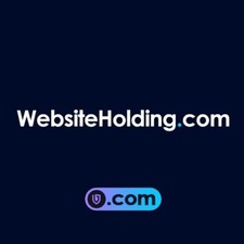 WebsiteHolding . com - domain name