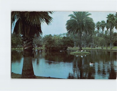 #ad Postcard Beautiful Public Park in Florida USA $3.49