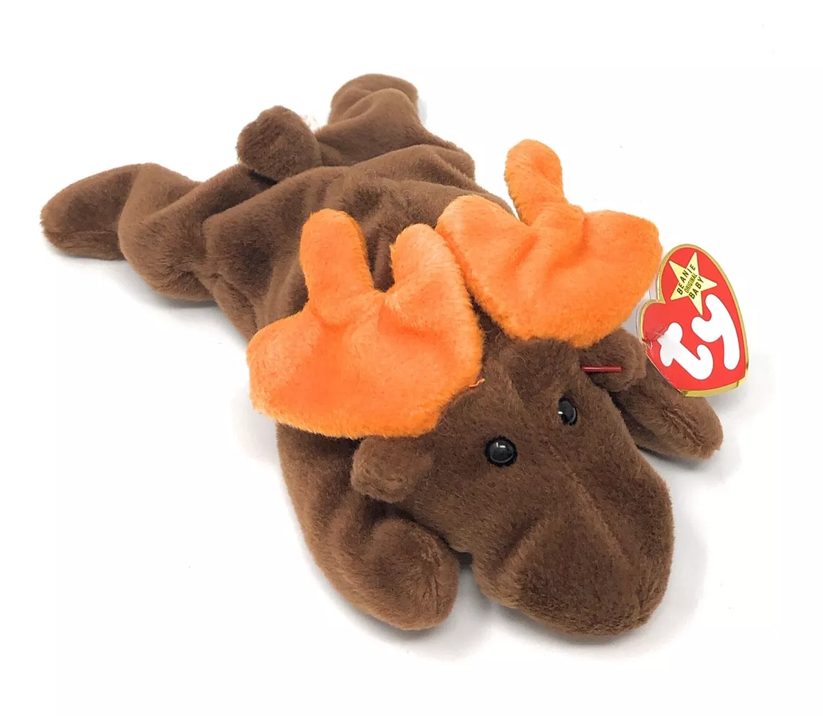 Chocolate the moose beanie 2025 baby worth