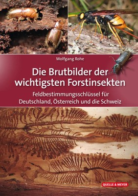 Die Brutbilder der wichtigsten Forstinsekten | Wolfgang Rohe | Deutsch | Buch
