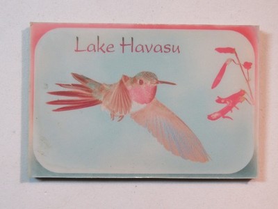 3'' Refrigerator MAGNET ~ LAKE HAVASU, Arizona, Broad-tailed HUMMINGBIRD