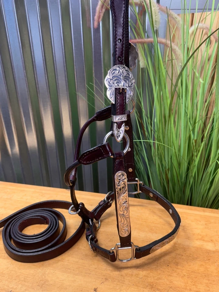 Halter para caballos CIRCLE Y Silver Western SHOW con plomo ~ tamaño completo ~ excelente estado Foto 4 de 4