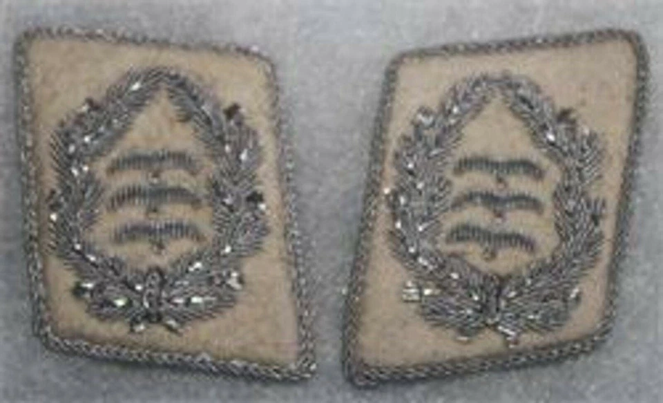 patte de col Oberst panzer Luftwaffe HG allemand 2e guerre mondiale