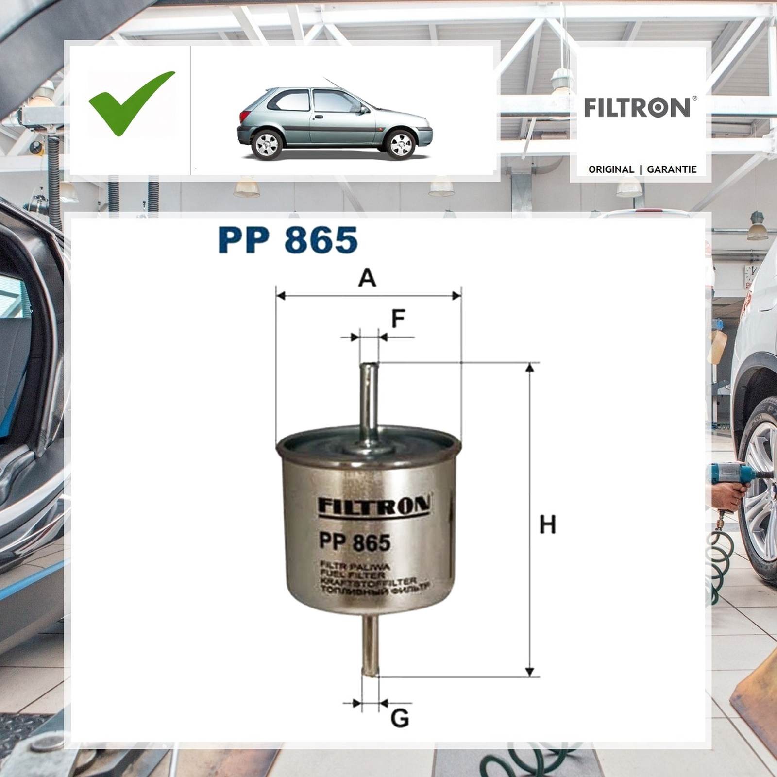 Filtron Kraftstofffilter FORD FIESTA IV (JA_, JB_) 1.25 i 16V